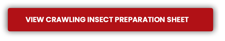 Crawling Insect Preparation Sheet Crawling Insect Preparation Sheet